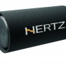 Hertz DST30.3.jpg