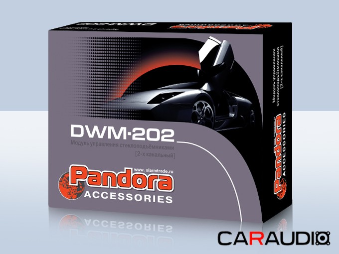 Pandora DWM 202 