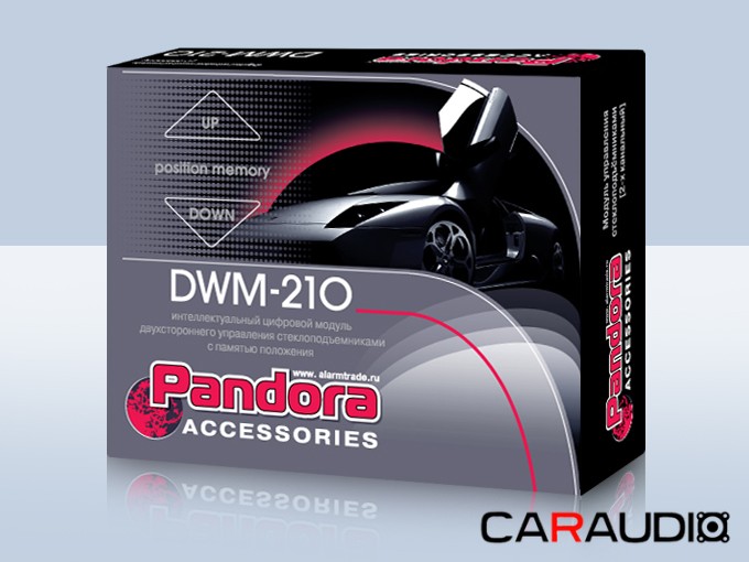 Pandora DWM 210 